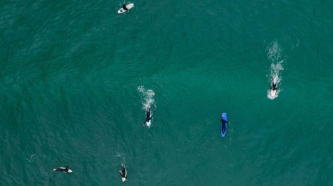 Cuando el surf se convierte en activismo ambiental