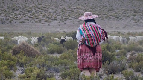 ¿Prevalecerá la economía sobre el ambiente en el nuevo gobierno de Bolivia?