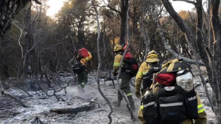 Chubut bajo fuego: El grito de los bosques milenarios ante un ecocidio anunciado