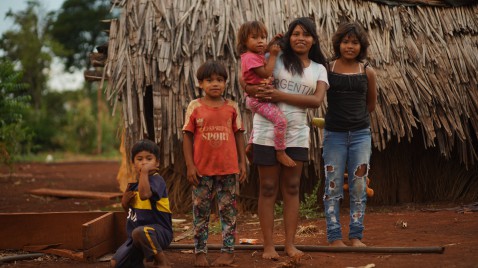 Una empresa argentina impulsa la educación ambiental junto a comunidades locales e indígenas en la Selva Paranaense