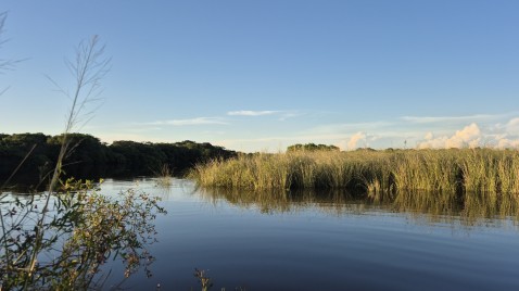 Aves Argentinas consolida una nueva reserva para salvar los pastizales de la Cuenca del Río Aguapey
