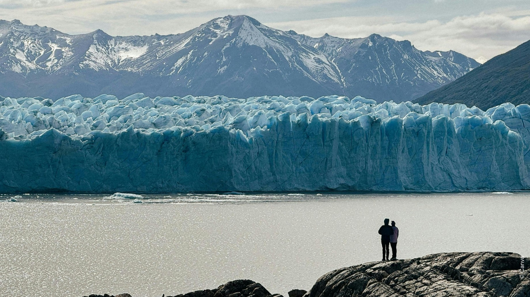 Informe técnico advierte que debilitar la Ley de Glaciares pondría en riesgo a más de la mitad de las especies de vertebrados del país