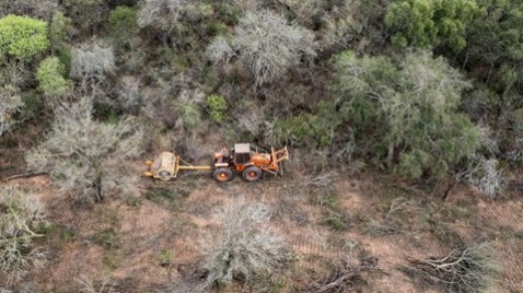 La ley es una herramienta clave para frenar la deforestación