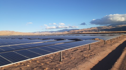 El escudo que América Latina no termina de usar