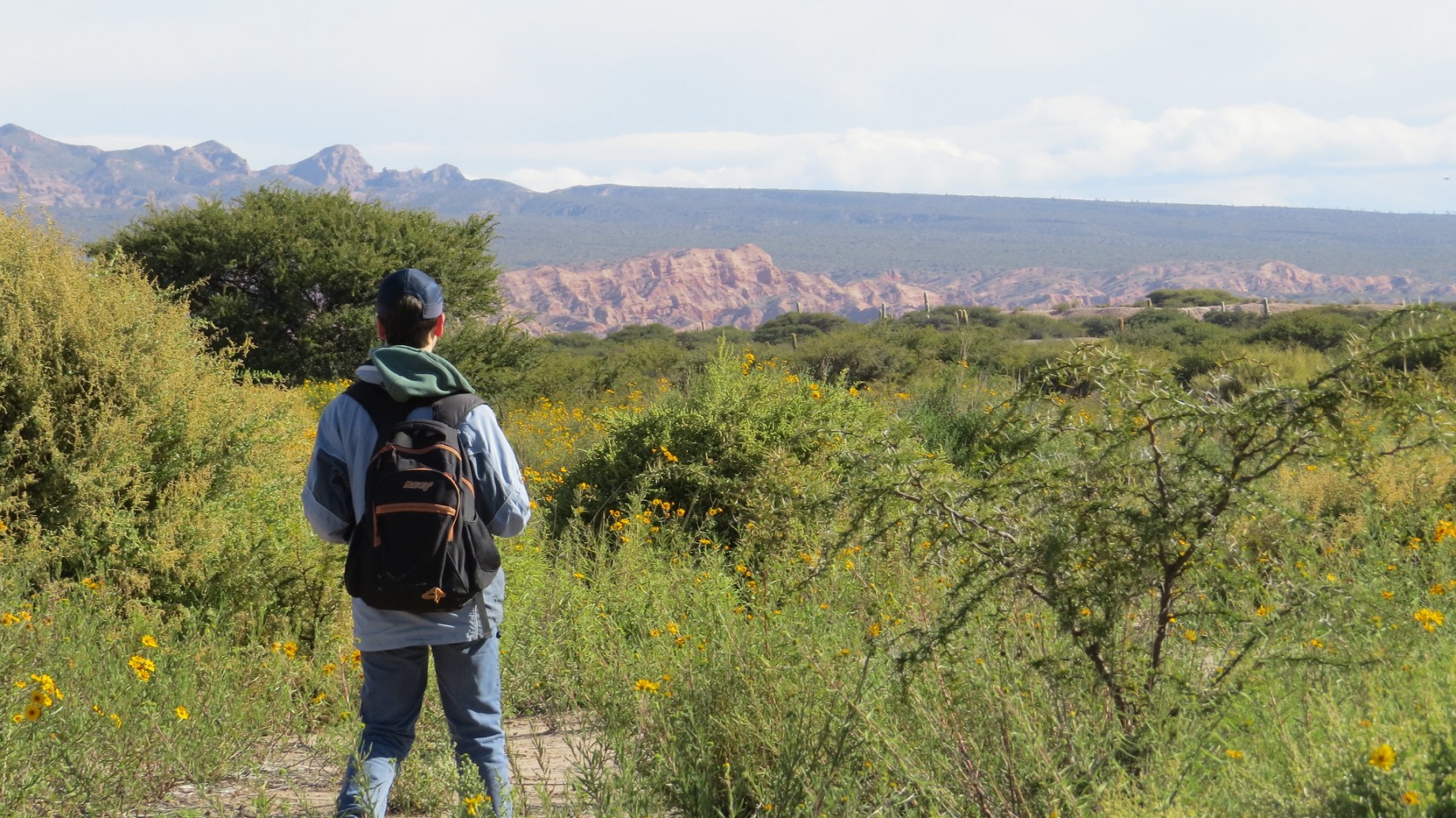 La Escuela Argentina de Naturalistas abre su inscripción para el ciclo 2026